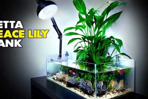 Aquascape Tutorial: Peace Lily Betta Fish Aquarium (How To: Step By Step Planted Tank Guide)