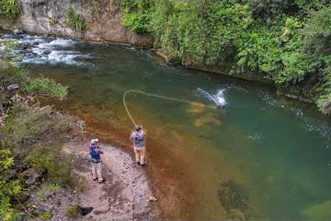 This River is Incredible, Big Fish Everywhere.
