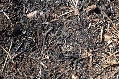 It’s So Hot That Mulch Is Catching On Fire
