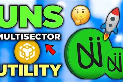 Low-Cap BNB Ecosystem Token (MULTISECTOR UTILITY) UNS Project Review