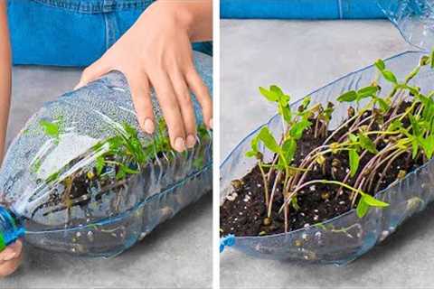 Unusual Hacks For Growing Plants Anywhere 🌱 || Gardening Tips &amp; Hacks For Beginners 🌼