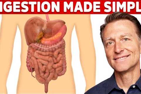 Your Digestive System Explained (in Simple Terms)