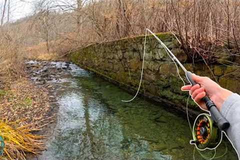 My First Time Fly Fishing in MONTHS! (Trout Fishing)