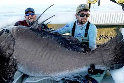 We Caught a SEA MONSTER!!