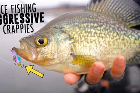 Ice Fishing  HUGE School of Aggressive Crappies!
