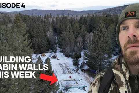 I left the city to build an offgrid homestead: log cabin wall build, chainsaw debarking tool | EP4
