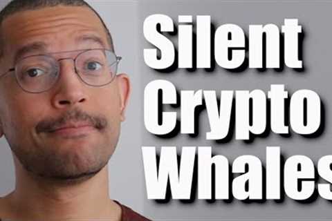 Whales Are SECRETLY Buying This Altcoin, Now They Own Almost All Of It