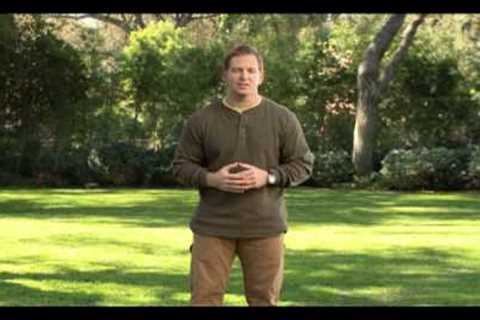 Spring Lawn Care | Five Basic Tips