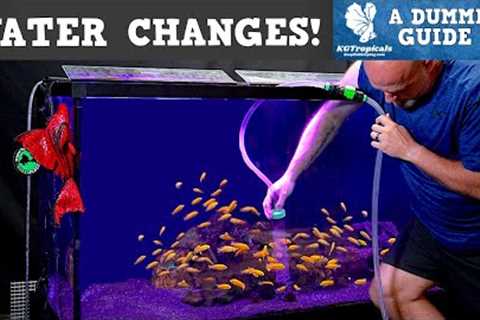 Why, How Much and How Often Should You Do Water Changes In An Aquarium?