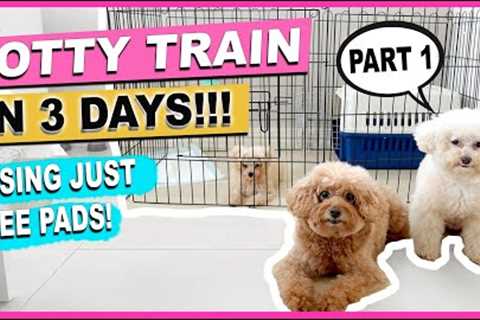 HOW TO POTTY TRAIN YOUR NEW PUPPY QUICKLY  Part 1: The Complete Process| The Poodle Mom