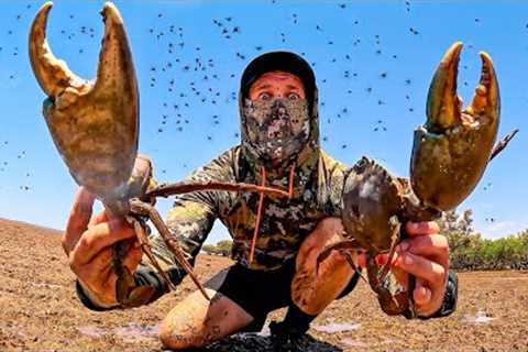 SURVIVING Remote Australia - GIANT CRABS Catch and Cook (Millions of Flys)