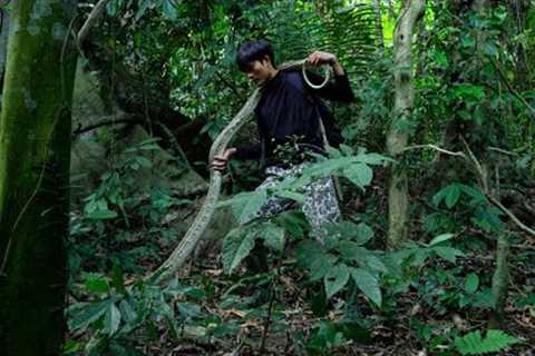 2 DAYS solo survival CAMPING. FISHING, CATCH and COOK. Survival Shelter, Big Python Encounter