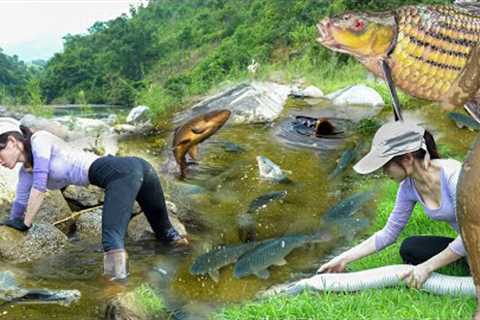 Huge wild fish nest - Beautiful girl survival and catches fish, bushcraft shelter skills