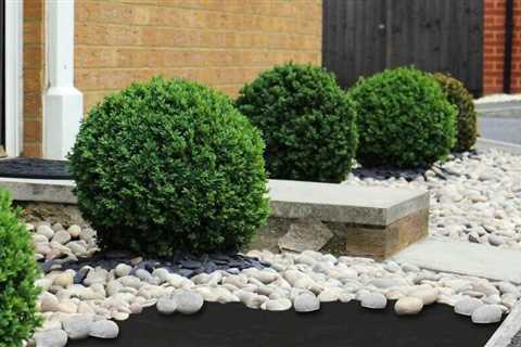 6 Landscape Fabrics to Keep Weeds Out of Your Garden