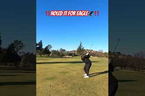 ‼️HOLED IT FOR 🦅‼️…OR DID I⁉️ #golf #jlauretagolf #golfer #golfing #golfswing #golfshorts