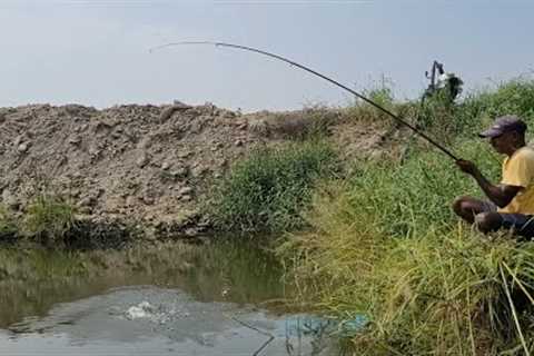 Single Hook Float fishing|Fisherman Catching Tilapia fishes by Float in Village Pond|Unique fishing
