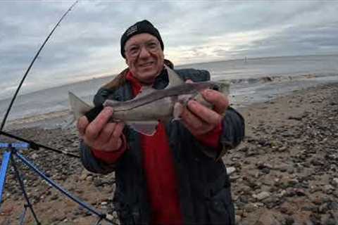 A Full Day Fishing with my Dad | Holderness/Humber