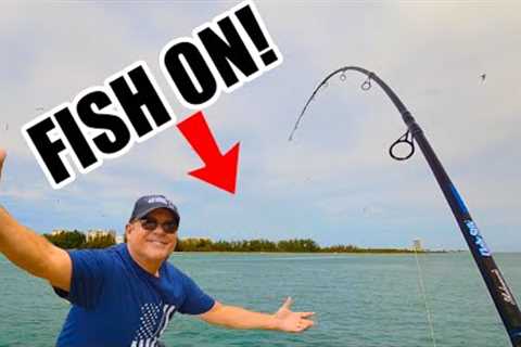 FISH ON!  Fishing For Whatever Bites In This Inlet