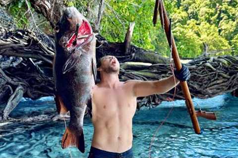 Solo Survival Spearfishing - Catch n Cook Amazing Fish