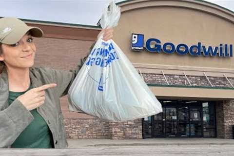 Timing is EVERYTHING at the Thrift Store! Shop Goodwill with me!