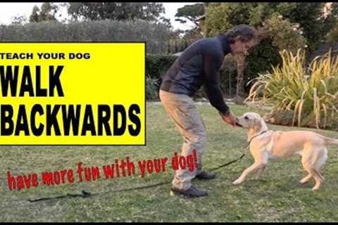 Teach Your Dog to Walk Backwards - Robert Cabral Dog Training
