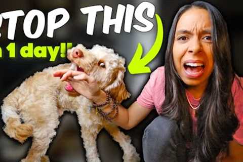 PUPPY BITING STOPPED in ONE day! 🙌 Aggressive puppy biting tips that actually work
