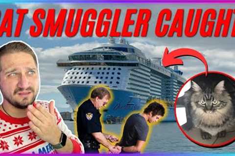 Feline Felony: Passenger BUSTED Smuggling Cat Onto CRUISE SHIP! #meow
