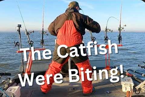 The Catfish Were Biting!