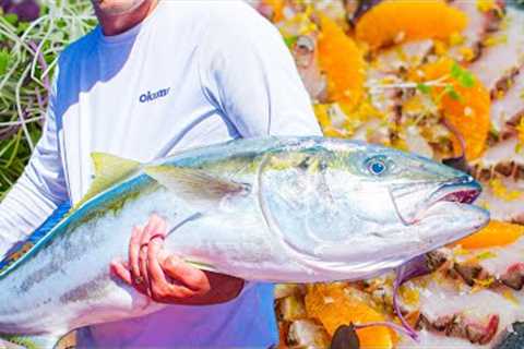Big Fish Takes Live Bait | Catch and Cook in New Zealand