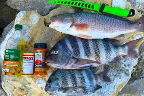 Catch n' Cook BIG FAT Sheepshead (INSANE BITE!)