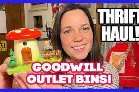 HOW DO THESE THINGS SURVIVE THE GOODWILL BINS? GOODWILL BINS THRIFT HAUL &amp; Thrifted &amp;..