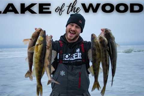 Lake of the Woods Ice Conditions &amp; Fishing Report (CRAZY Action) - Locations, Presentations,..