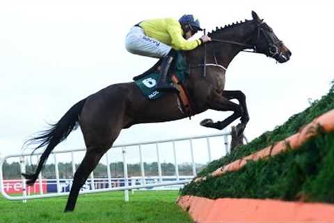 MARINE NATIONALE dazzles on chasing debut to enhance Arkle claims