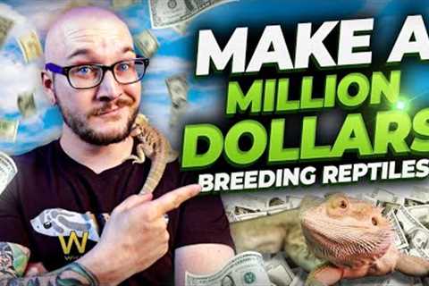 Can Breeding Reptiles ACTUALLY Make You Rich? Also, The Loudest Ball Python Fart Ever!