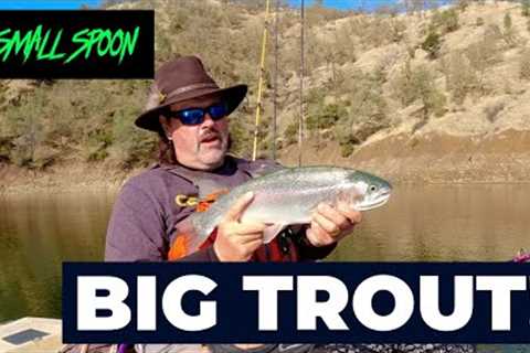 Watch This If You Want To Catch Big Rainbow Trout This Winter! (Lake Berryessa)