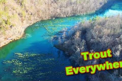 This Scenic River Was LOADED!!