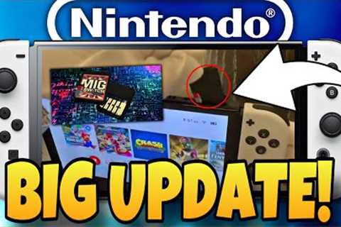 The Nintendo Switch Flash Cart Just Got A BIG Update!