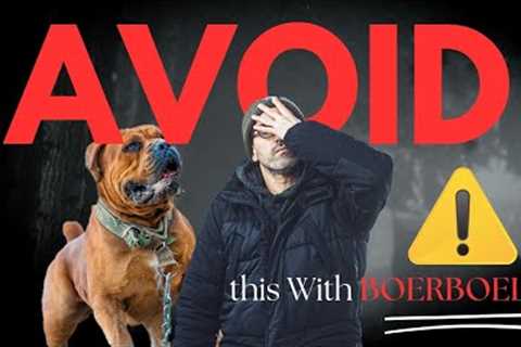 9 mistakes To AVoid With Boerboel Dog