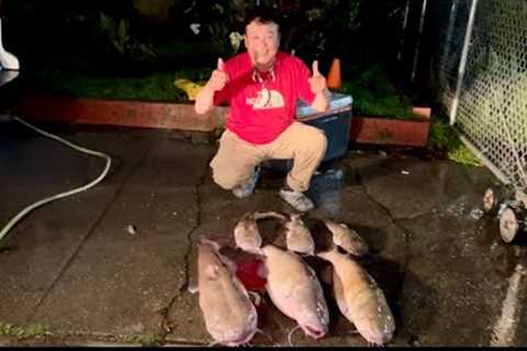CATFISHING IN THE RAIN 🌧️ UPDATE AT LAKE BERRYESSA 12/27/23