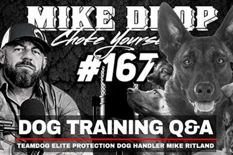 Dog Training Q&amp;A with Navy SEAL Teamdog Founder Mike Ritland