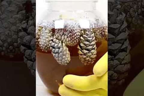 Christmas Decoration Craft
