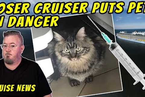 Pet Almost Killed on Cruise and Today's Cruise News