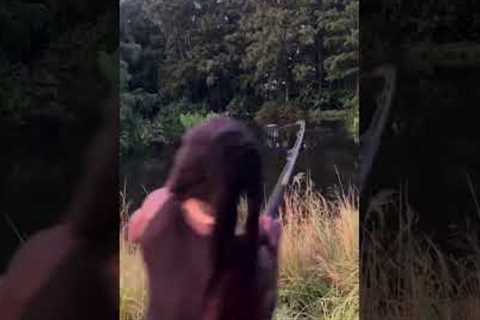 Fishing for ALLIGATORS 🐊 #hoodfishing