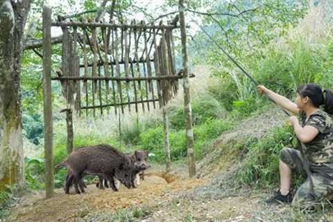 Discovering Wild Boar Herds - Build a Large Trap and Wait for Your Prey, Part 6
