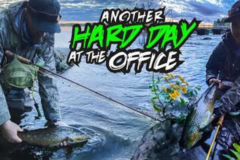 Masterclass of Fly Fishing for Trout with Two World Champions l Another Hard Day at the Office