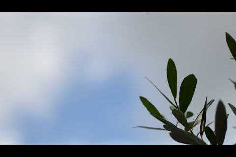 KL - Shabbat Service 12.30.2023 Faith Pt.3: Faith in God's Power for Character Transformation