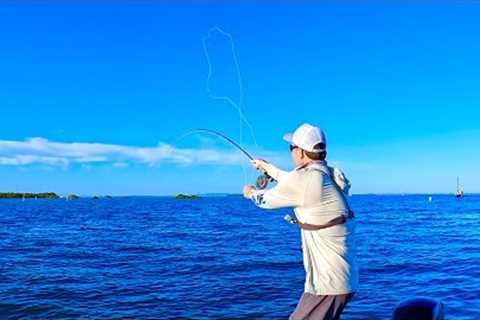 Moreton Bay reef fish were ON FIRE