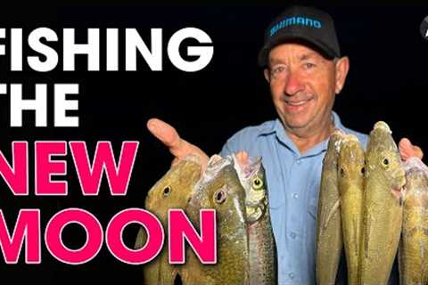 Beach Fishing the NEW MOON - Prospecting for Fish!