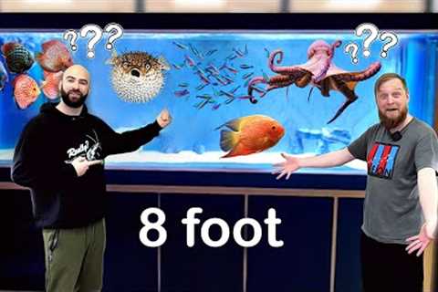 Preparing the Studio For 8ft MEGA Aquarium (early 2024)