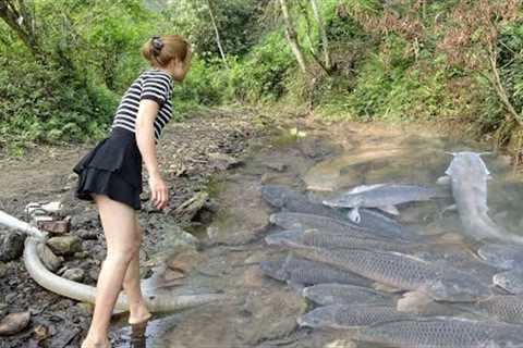Fishing Videos: Survival Skills, Catch A Lot Of Fish, Bushcraft Survival, OFF GRID LIVING